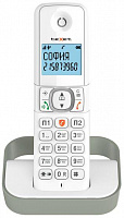 TEXET TX-D5605A белый-серый (127221) Радиотелефон