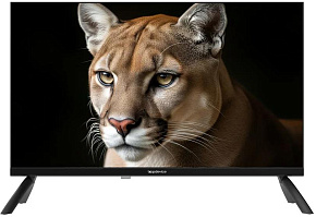 TOPDEVICE TDWC24BH1000I HD Телевизор Topdevice 24''/HD/IPS/без Smart/60 Гц/черный (TDWC24BH1000I)