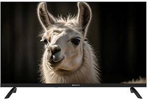 TOPDEVICE TDWC32BH2210V Телевизор Topdevice 32"/HD/VA/Smart WildRed/1-8 ГБ/Wi-Fi 2.4 ГГц/60 Гц/черный (TDWC32BH2210V)