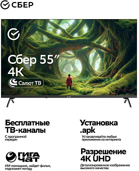 SBER SDX 55U5500DBB