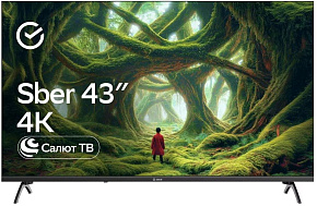 SBER SDX-43U5500DBA SMART TV Салют ТВ