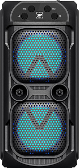 SOUNDMAX Портативное аудио SM-PS5039B(чёрный)