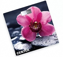 CENTEK CT-2421 Цветы Весы