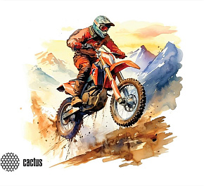 CACTUS Motobike 250x200x3мм (CS-MP-D12S) Коврик для мыши