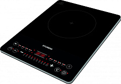 HYUNDAI HYC-0110