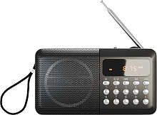 SOUNDMAX SM-RD2116 чёрный Радиоприемник SOUNDMAX SM-RD2116(чёрный)