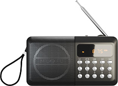 SOUNDMAX SM-RD2116 чёрный Радиоприемник SOUNDMAX SM-RD2116(чёрный)