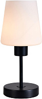 ESCADA 120004/1T E27*60W Black