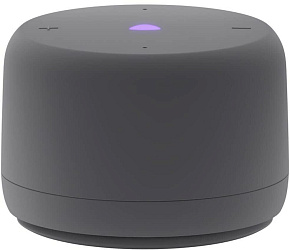 ЯНДЕКС YNDX-00028GRY Станция Лайт 2 с Алисой, без часов серая Умная колонка