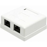 LANMASTER (TWT-SM2-4545-WH)RJ45 кат.5E (упак.: 1шт) Розетка