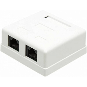 LANMASTER (TWT-SM2-4545-WH)RJ45 кат.5E (упак.: 1шт) Розетка