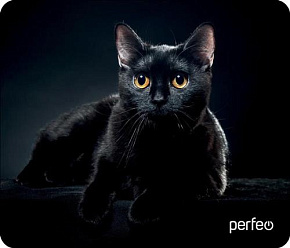 PERFEO (PF_D0665) "Cat" Коврик для мыши