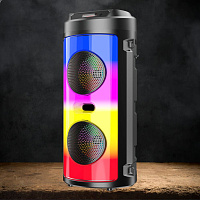 GINZZU GM-231 Мидисистема GINZZU GM-231