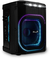 ELTRONIC (30-80) DANCE BOX 550 - колонка 08" Мидисистема