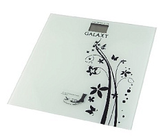 GALAXY GL 4800 Весы