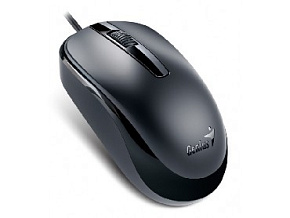 GENIUS (31010105100) DX-120 (USB) черный Мышь