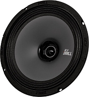 ACV DR8 DRALL эстрадная акустика 8 широкополосная Автоакустика