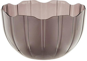 BEROSSI Elis 106929