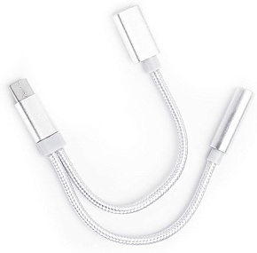 АТОМ (31043) USB Type-C-3,5 Jack/USB Type-C, серебряный