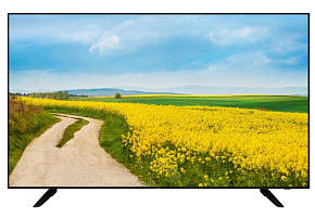 GOLDSTAR LT-43F800 Телевизор GOLDSTAR LT-43F800