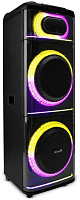 ELTRONIC (20-21) DIAMOND BOX 2500 - колонка 12