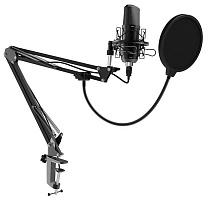 RITMIX RDM-169 черный Микрофон RITMIX RDM-169 черный