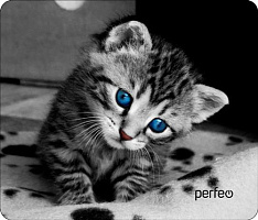 PERFEO (PF_D0655) 
