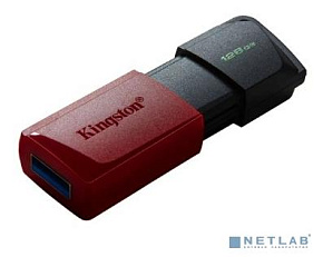 KINGSTON Флэш-накопитель USB3.2 128GB DTXM/128GB Флэш-накопитель