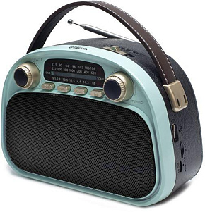 RITMIX RPR-040 MINT Радиоприемник