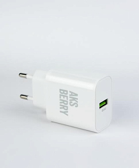 AKSBERRY (6972969383057) T42 QC30 (белый) СЗУ