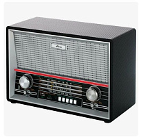 RITMIX RPR-102 черный (карбон) Радиоприемник