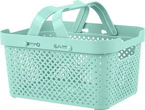 PLAST TEAM BABY PT900310000 для хранения с ручками 5л эвкалиптовый рассвет