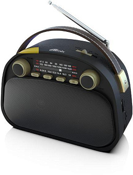 RITMIX RPR-040 BLACK Радиоприемник