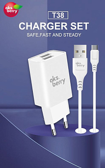 AKSBERRY (6900203230010) СЗУ T38 2 USB 2.4A + MicroUSB белый АККУМУЛЯТОРЫ И ЗАРЯДНЫЕ УСТРОЙСТВА