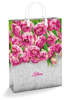 АРТПЛАСТ (ПОД51720) 30х40+10 (Соцветие) Россия Пакет АРТПЛАСТ (ПОД51720) 30х40+10 (Соцветие) Россия