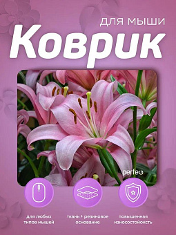 PERFEO (PF_E1769) ЦВЕТЫ Коврик для мыши