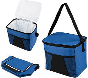 ECOS Термосумка PC2201, 14л., р-р: 28x20x25см, цвет: синий 104568 Термосумка