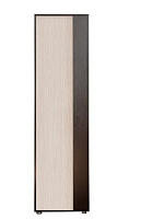 БИТЕЛ МИНИ-ЛАЙТ (МЛ-2) Венге/Ясень Прихожая БИТЕЛ МИНИ-ЛАЙТ (МЛ-2) Венге/Ясень