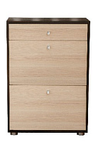 БИТЕЛ МИНИ-ЛАЙТ (МЛ-7) Венге/Ясень Прихожая БИТЕЛ МИНИ-ЛАЙТ (МЛ-7) Венге/Ясень