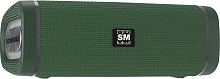 SOUNDMAX SM-PS5019B зелёный Портативная акустика