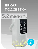 MORE CHOICE (4610196406898) BS25White Акустика MORE CHOICE (4610196406898) BS25White