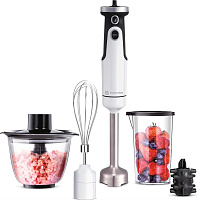 EVOLUTION HBS-0651 White Погружной блендер