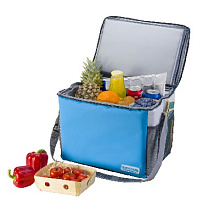 БИОСТАЛЬ TCР-25B Сумка-Холодильник