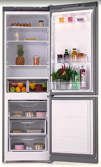 INDESIT DS 3180 G Холодильник