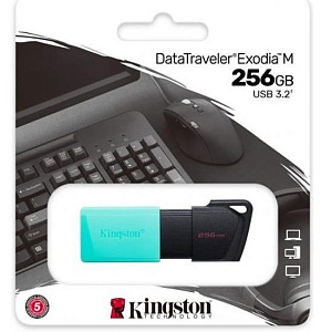 KINGSTON Флэш-накопитель USB3.2 256GB DTXM/256GB Флэш-накопитель