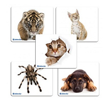 DEFENDER (50706) SILK - 10 видов ассортимент Коврик для мыши