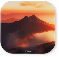 HYUNDAI H-BS03981 макс.180кг оранжевый