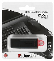 KINGSTON Флэш-накопитель USB3.2 256GB DTX/256GB