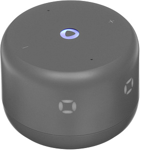 ЯНДЕКС YNDX-00026YNDX-00026GRY Станция Лайт 2 графит Умная колонка